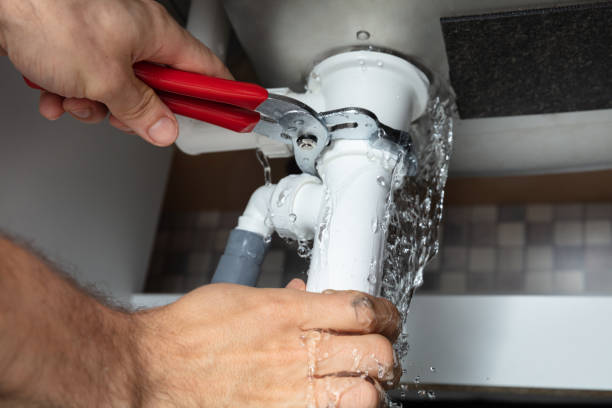 Best Flood damage cleanup  in Tonto Basin, AZ