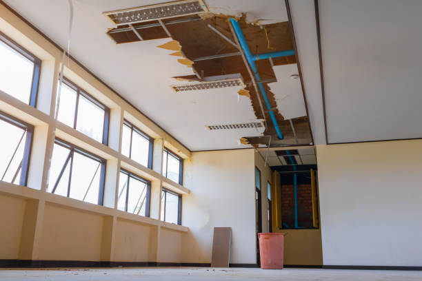 Best Carpet water damage restoration  in Tonto Basin, AZ