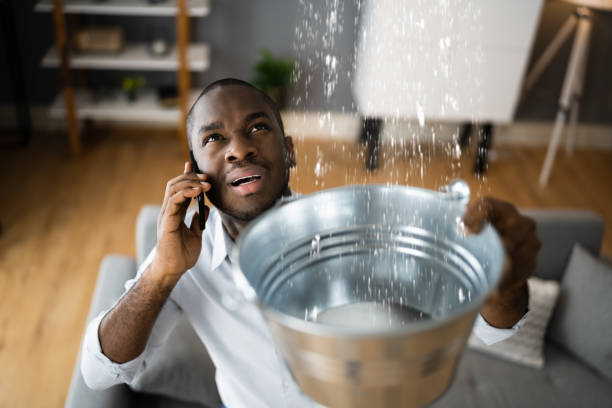 Best Flood restoration services  in Tonto Basin, AZ