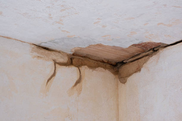 Best 24/7 water damage repair  in Tonto Basin, AZ