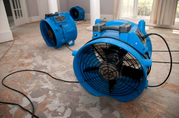  Tonto Basin, AZ Water damage restoration Pros