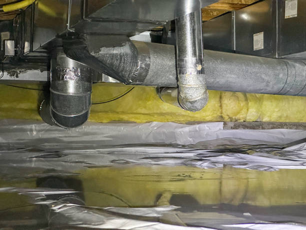Best Water damage contractors near me  in Tonto Basin, AZ