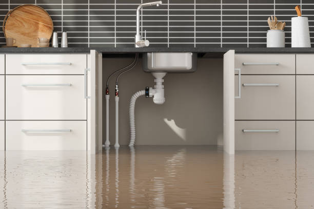 Best Water damage restoration near me  in Tonto Basin, AZ