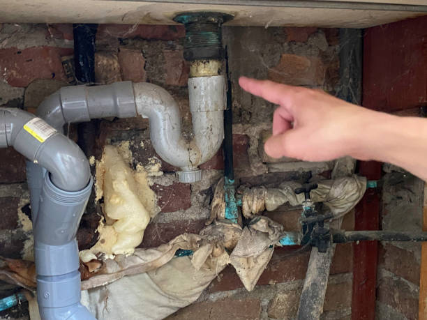 Best Water damage restoration insurance claims  in Tonto Basin, AZ