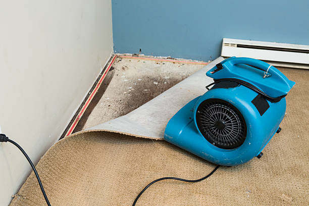 Water damage restoration insurance claims in AZ